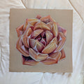 Echeveria Shallot