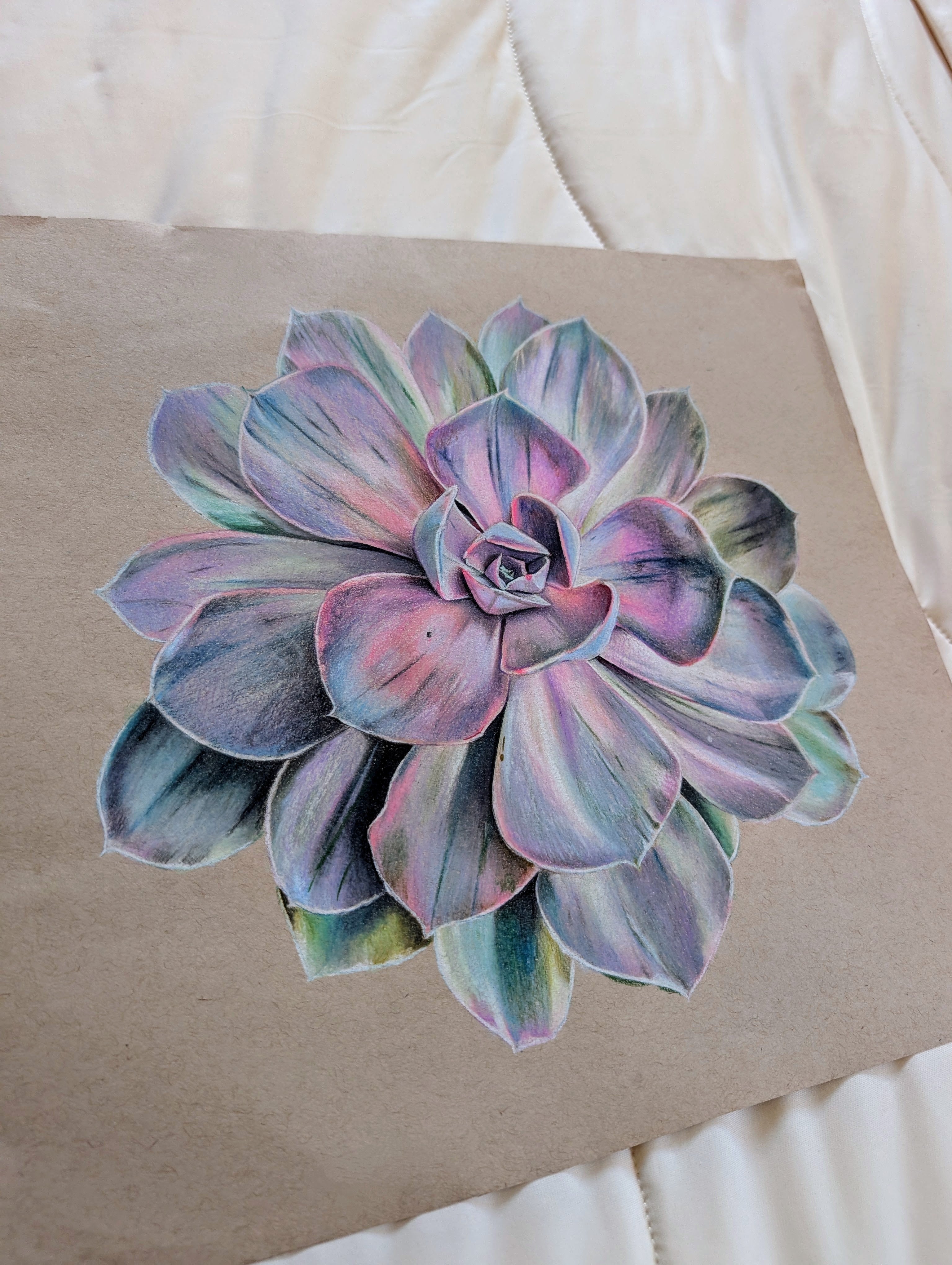 Echeveria Pearl Von Nurnberg
