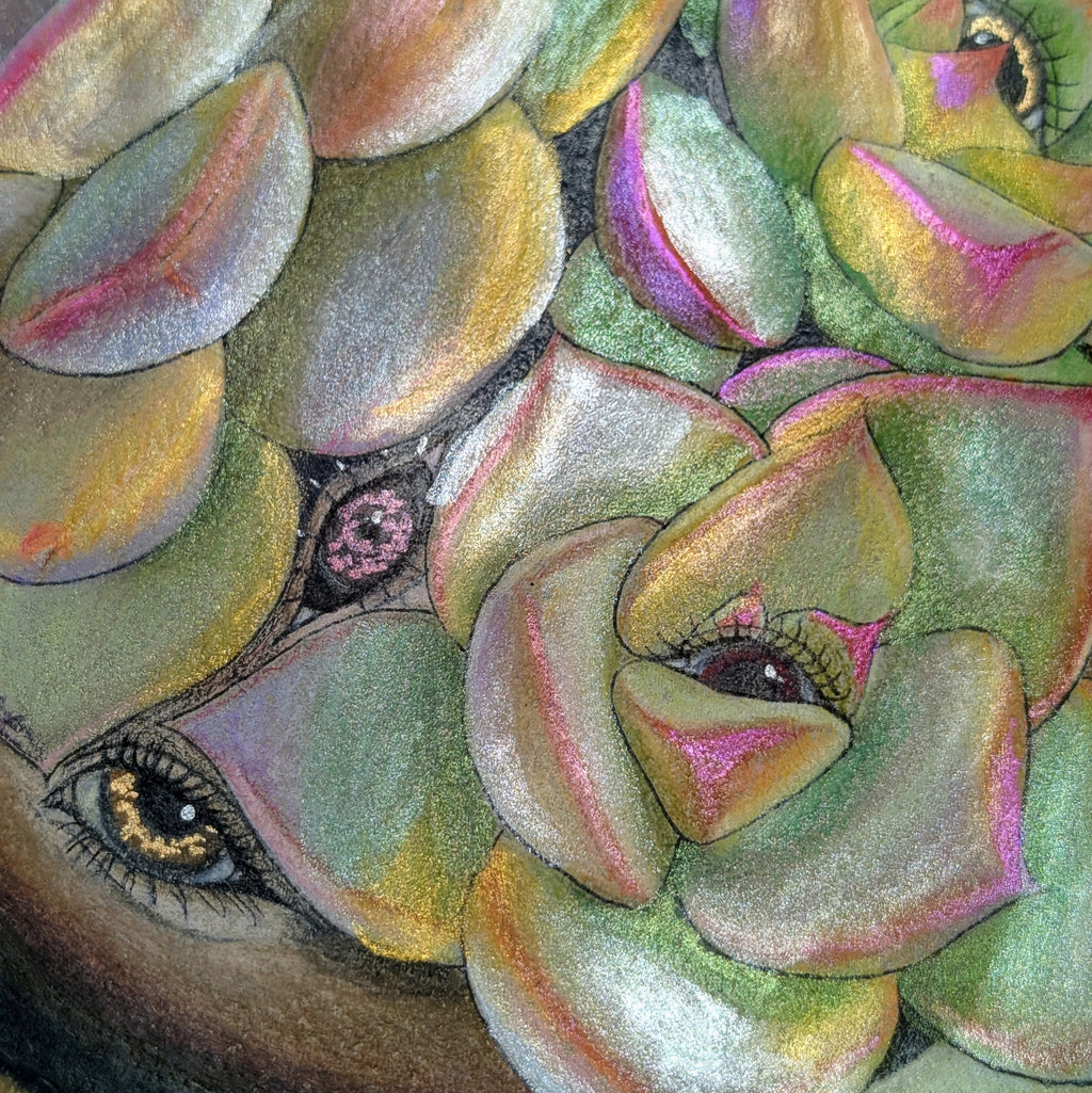Tomie is obsessed with Succulents