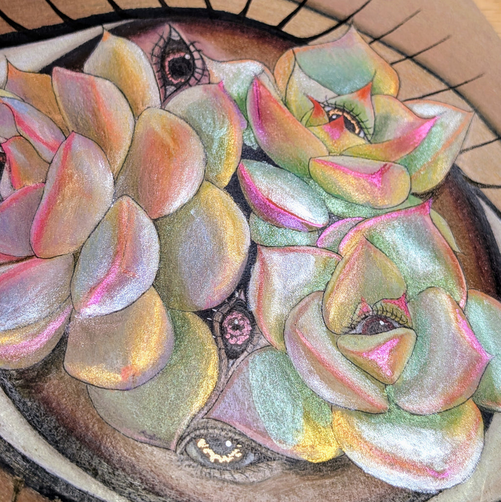 Tomie is obsessed with Succulents