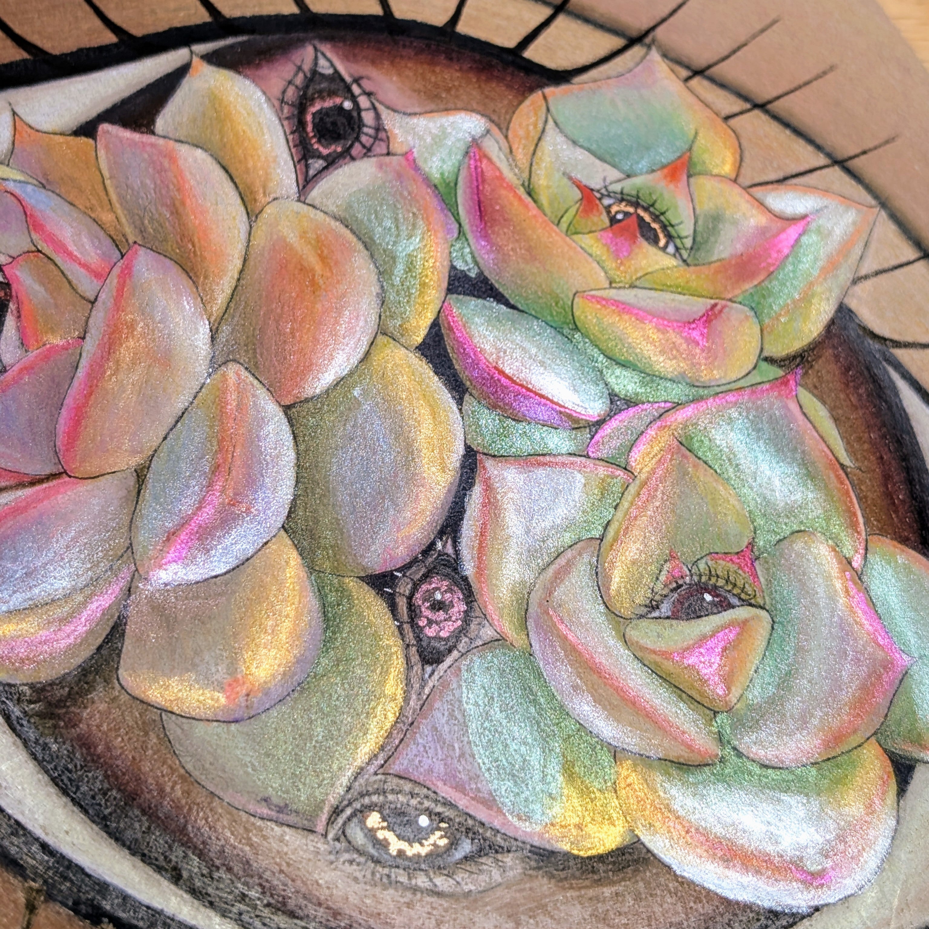Tomie is obsessed with Succulents