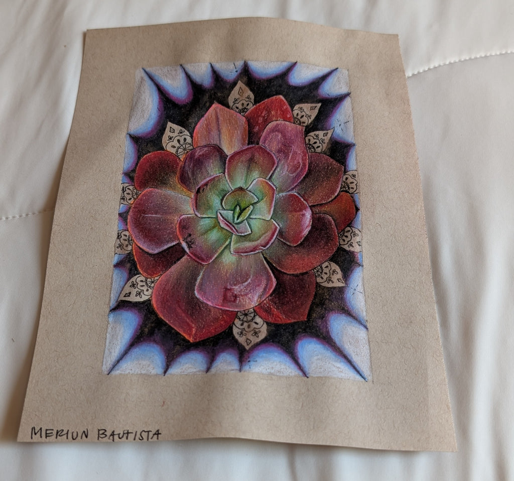Echeveria Eliza