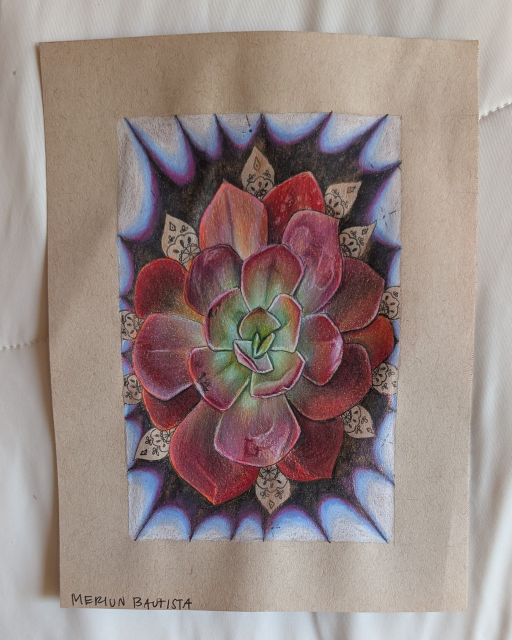 Echeveria Eliza