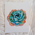 Echeveria Blue Ruffles